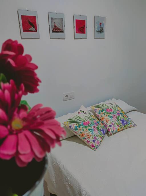 Apartamento Acerota, Con Parking Gratuito 코르도바 외부 사진